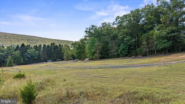 a view of an outdoor space and a yard