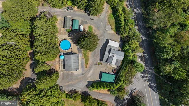 an outdoor space with lots of trees