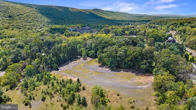 a view of a yard with large trees