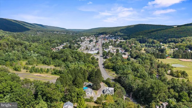 a view of a yard with trees
