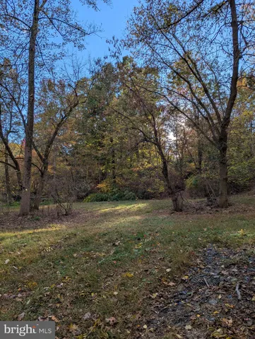 a view of a yard with lots of green space