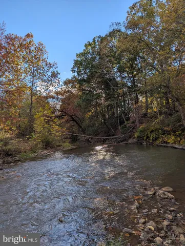 a view of a yard with plants and trees
