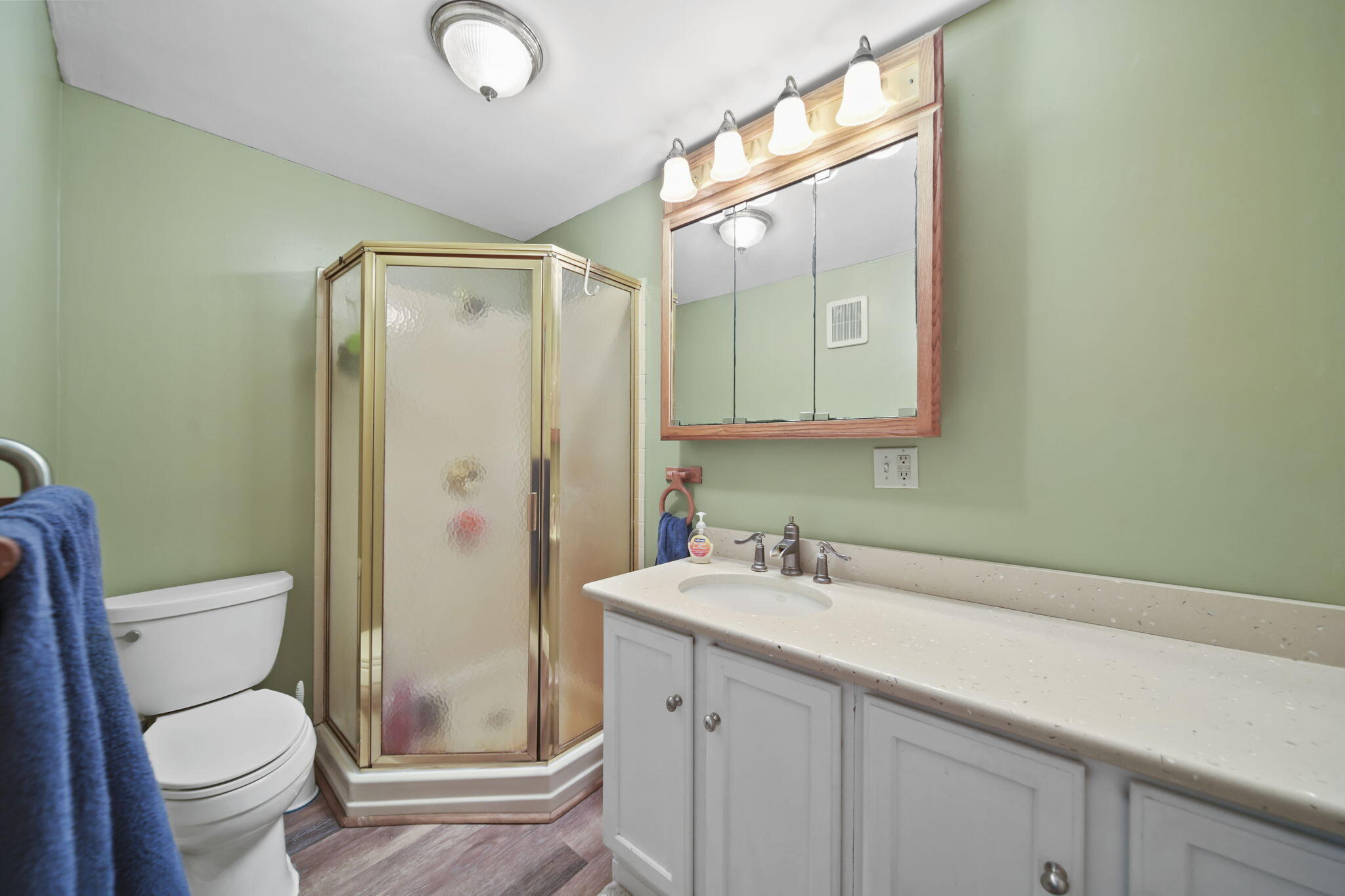 9923 Sharon Hollow Road Manchester, MI 48158 - Photo 13 of 55 13-web-or-mls-DSC00038