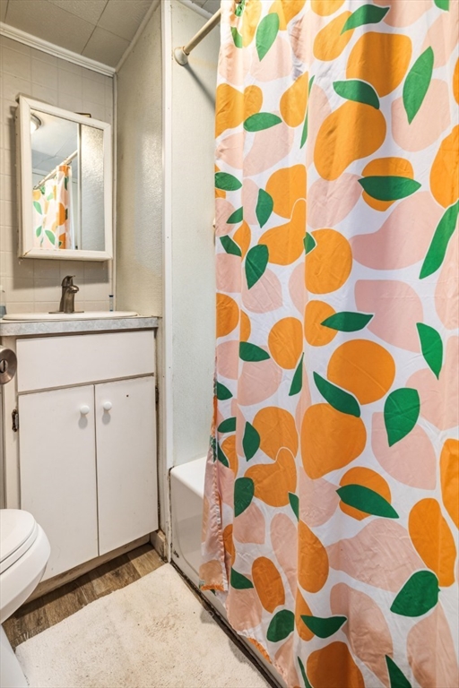 17 Ashton Street Everett, MA 02149 - Photo 32 of 42 a bathroom with a sink and a mirror