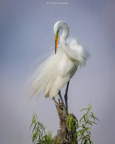 $122,000 | 631 Copano Drive, Bayside, TX 78340