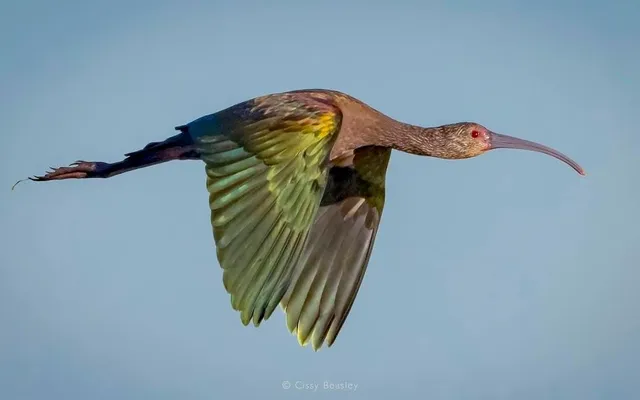 $122,000 | 631 Copano Drive, Bayside, TX 78340