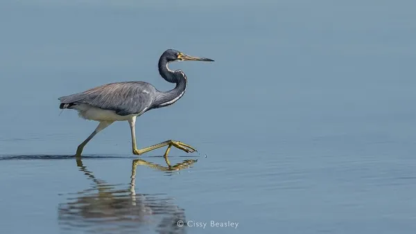 $122,000 | 631 Copano Drive, Bayside, TX 78340
