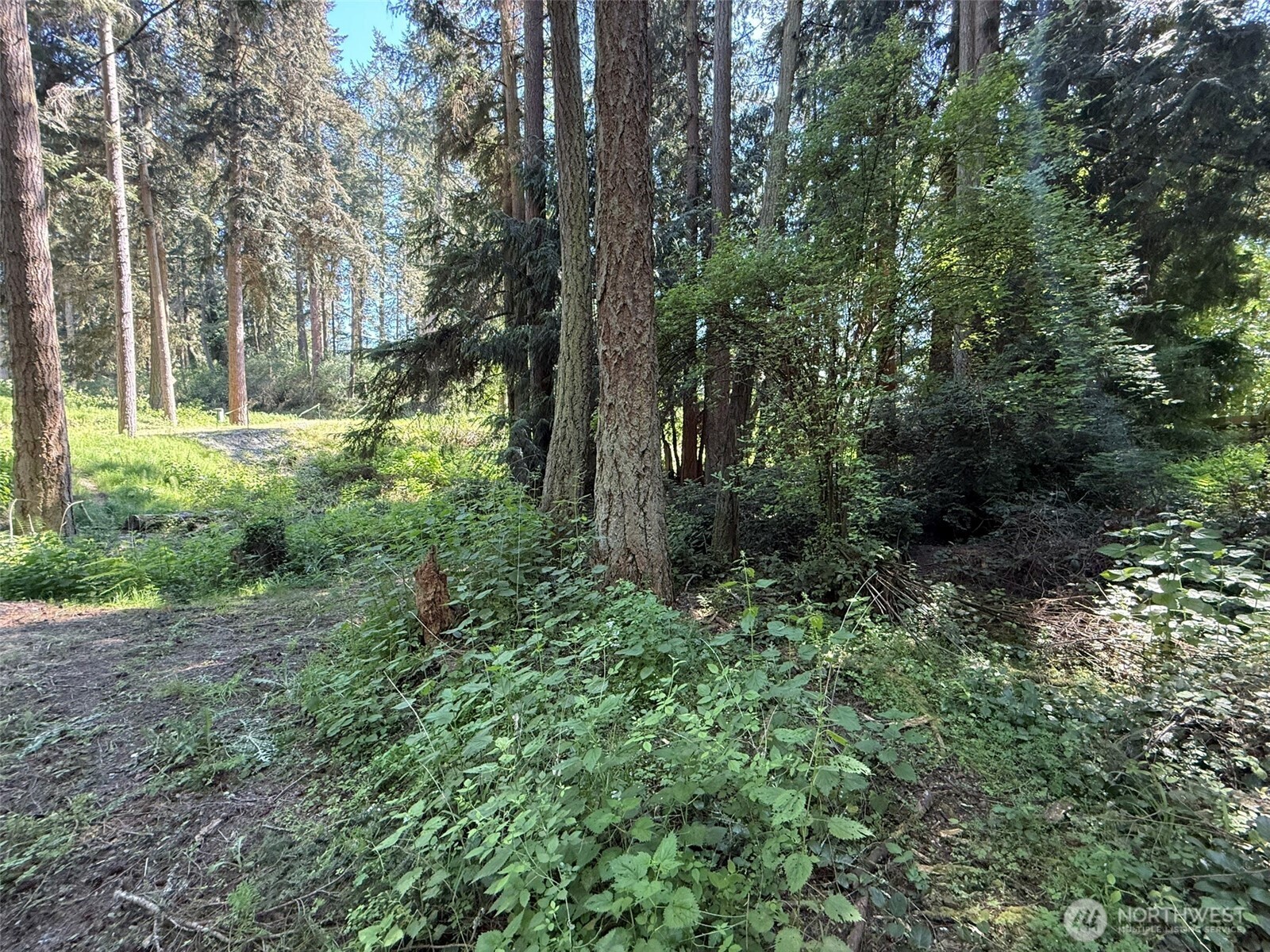 5860 Fish Road Freeland, WA 98249 - Photo 9 of 23 Gallery Image 9