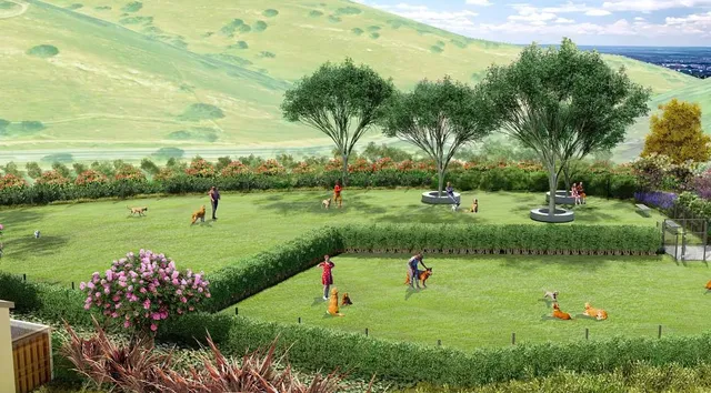 a view of a garden with a lake