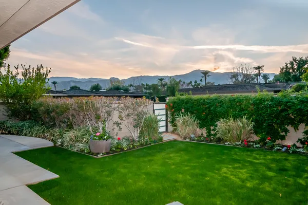 a view of a back yard