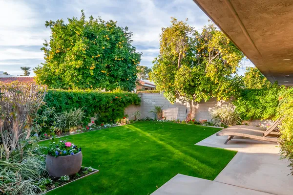 a view of a backyard with table and chairs and a large tree