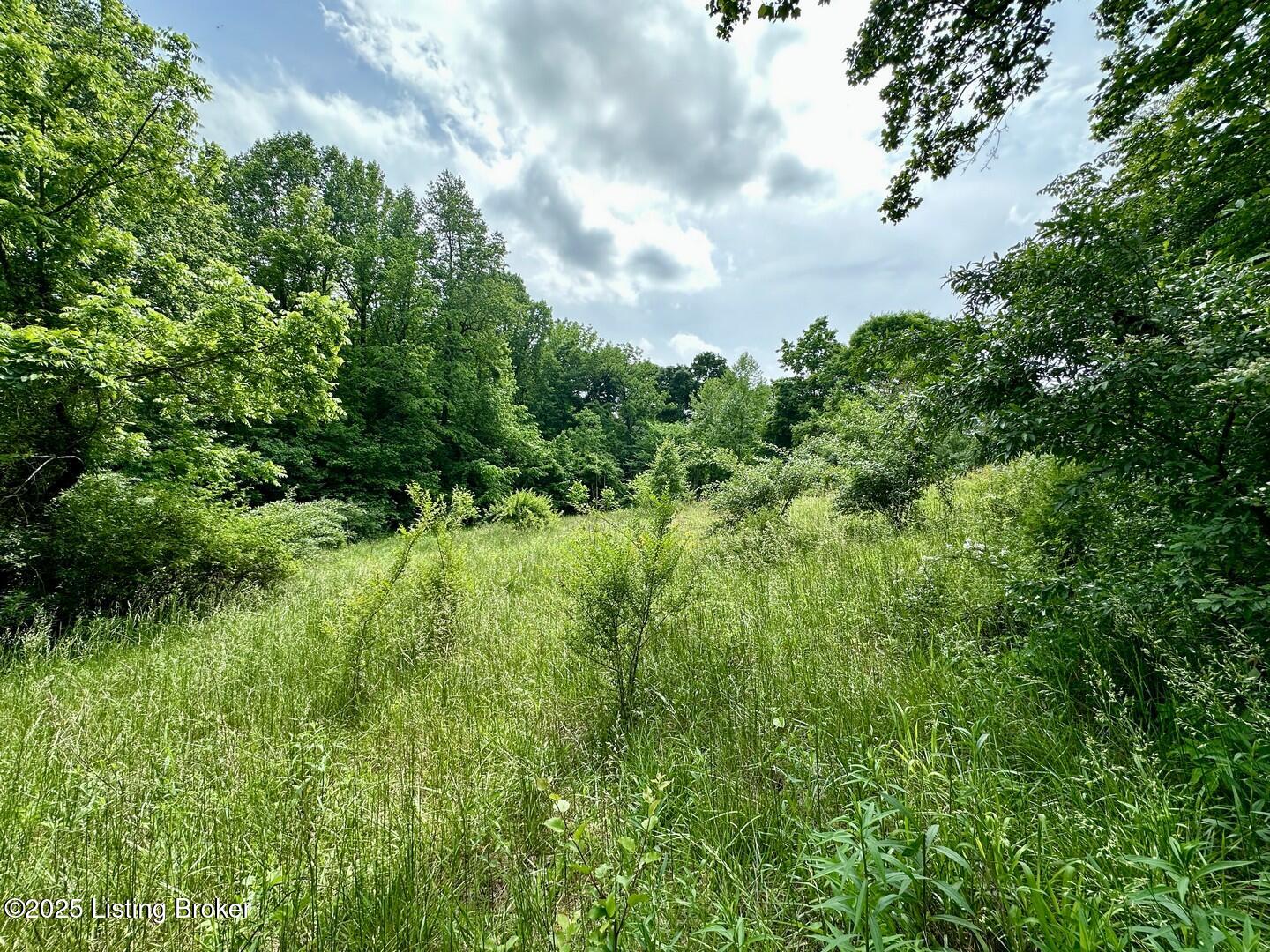 1371 Sunbeam Road Leitchfield, KY 42754 - Photo 15 of 16 0 Sunbeam Rd10