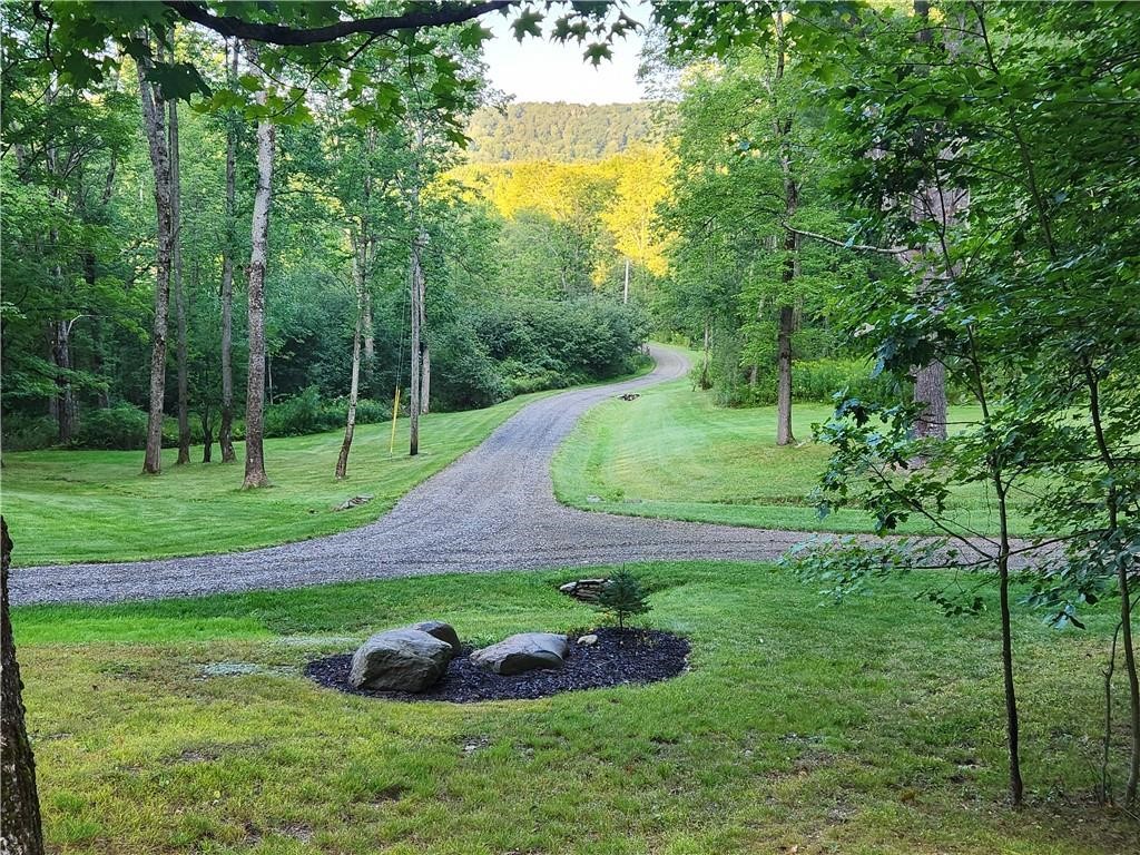 316 Seminary Road Hartwick, NY 13807 - Photo 4 of 23