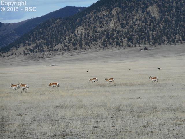 Tbd Mineral Springs Road Hartsel, CO 80449 - Photo 8 of 16 Gallery Image 8