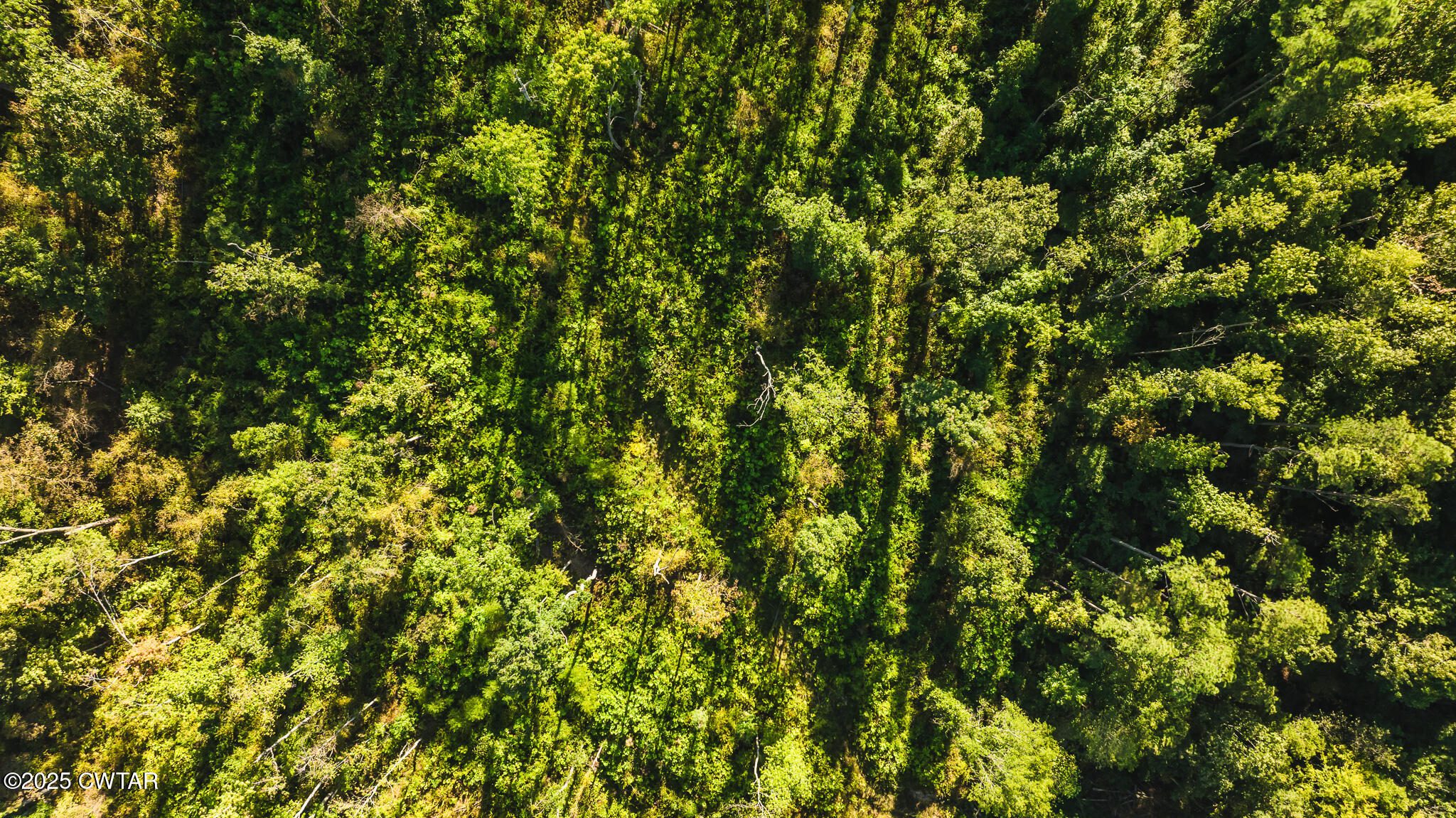 4201 Austin Springs Road Dukedom, TN 38226 - Photo 6 of 12 DJI_20250908085836_0015_D