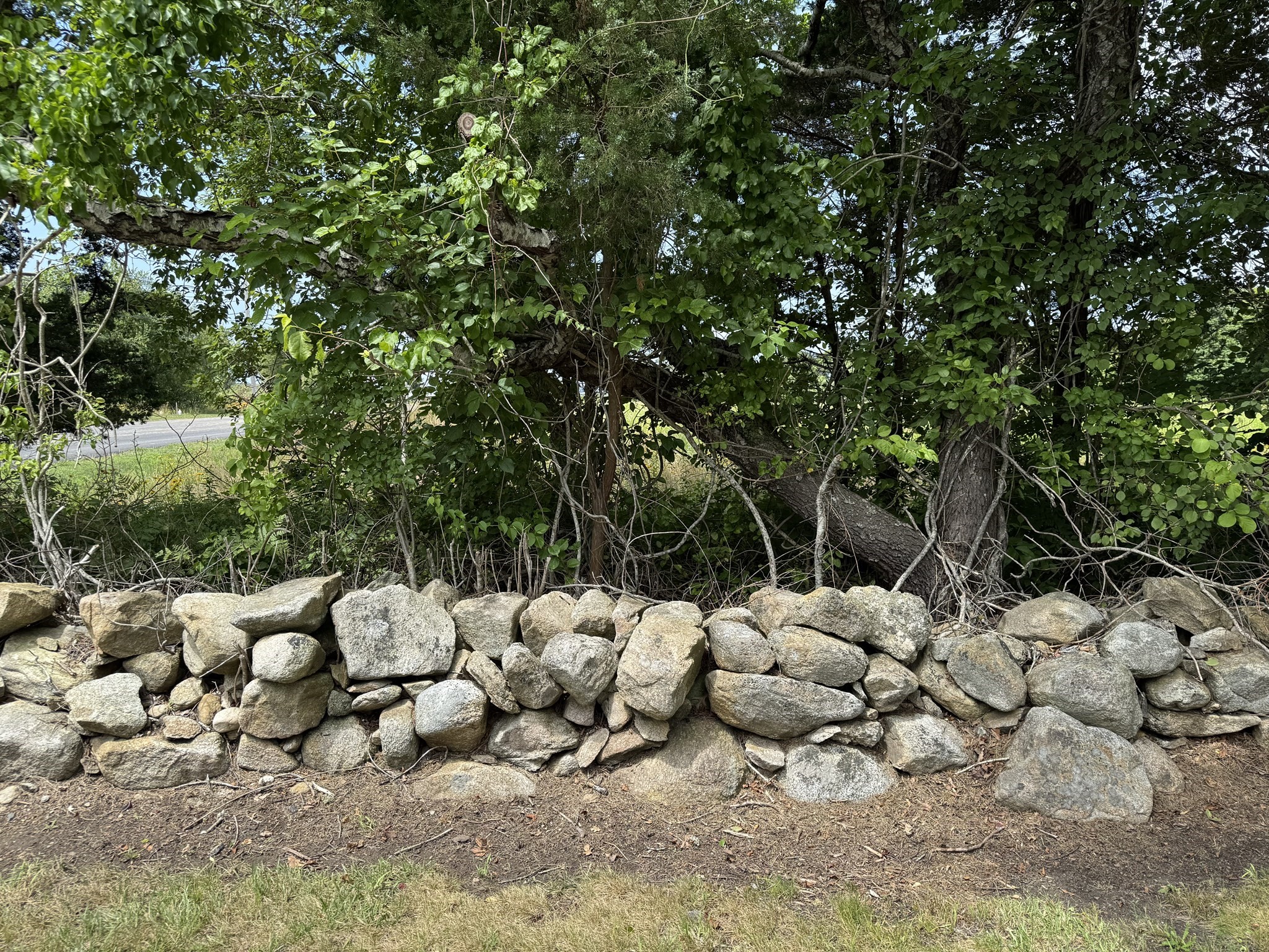 2 Sconticut Neck Road Fairhaven, MA 02719 - Photo 4 of 4 Gallery Image 4
