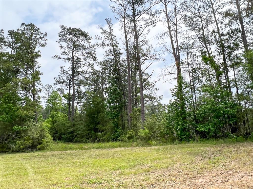 0 Fm 2937/old Arco Road Silsbee, TX 77656 - Photo 3 of 5