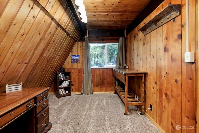 a view of a yard with plants and large trees