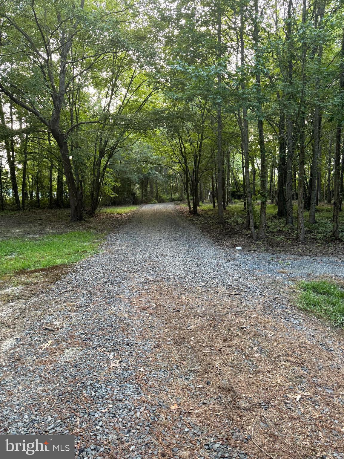 3835 Walt Thomas Road Crisfield, MD 21817 - Photo 6 of 25