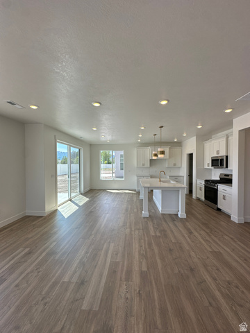 1225 West 500 South Logan, UT 84321 - Photo 10 of 39 Open-concept living space featuring wood-finish flooring, recessed lighting, and a modern kitchen