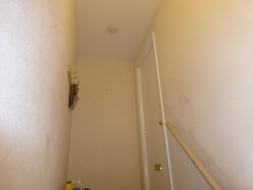 449 Old Field Road Chicopee, MA 01013 - Photo 19 of 26 Gallery Image 19