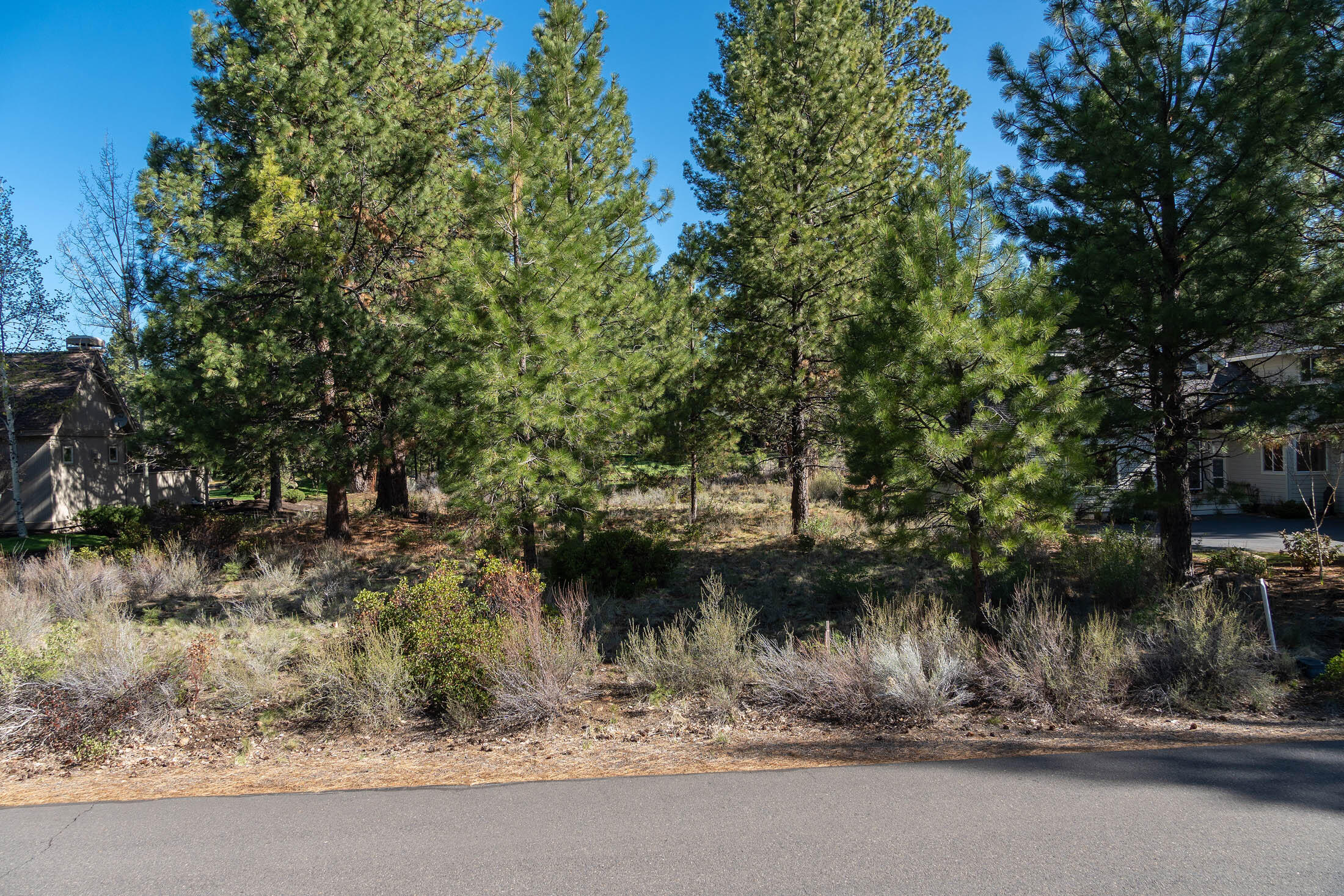 60711 Golf Village Loop Bend, OR 97702 - Photo 2 of 31 Front of lot off Golf Village Loop asphalt street