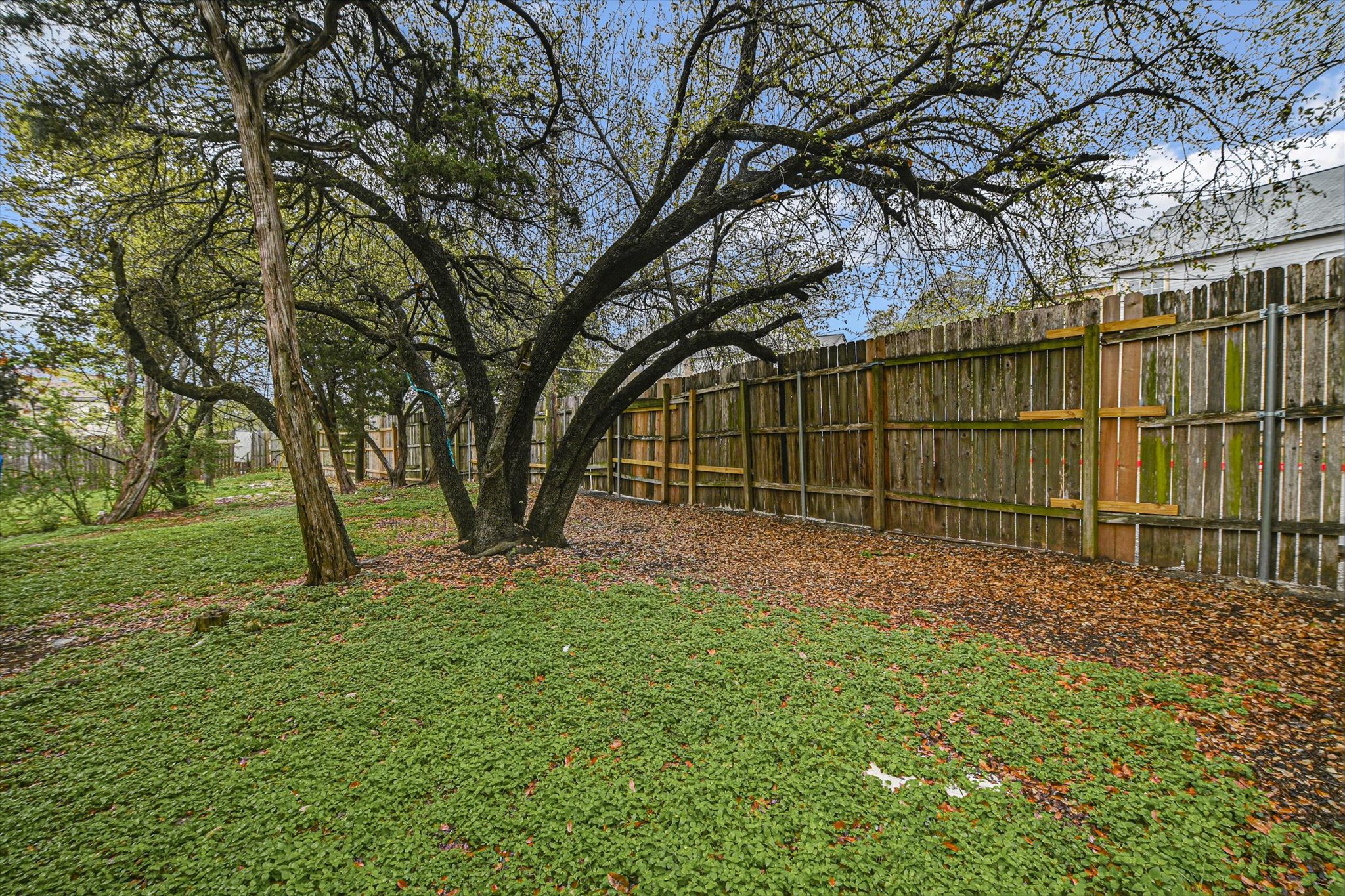 4301 Acropolis Court, Unit B Austin, TX 78759 - Photo 10 of 10 View of fenced backyard