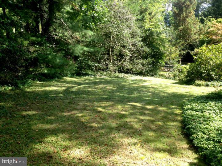 701 Eagle Road Wayne, PA 19087 - Photo 9 of 24 Back Yard