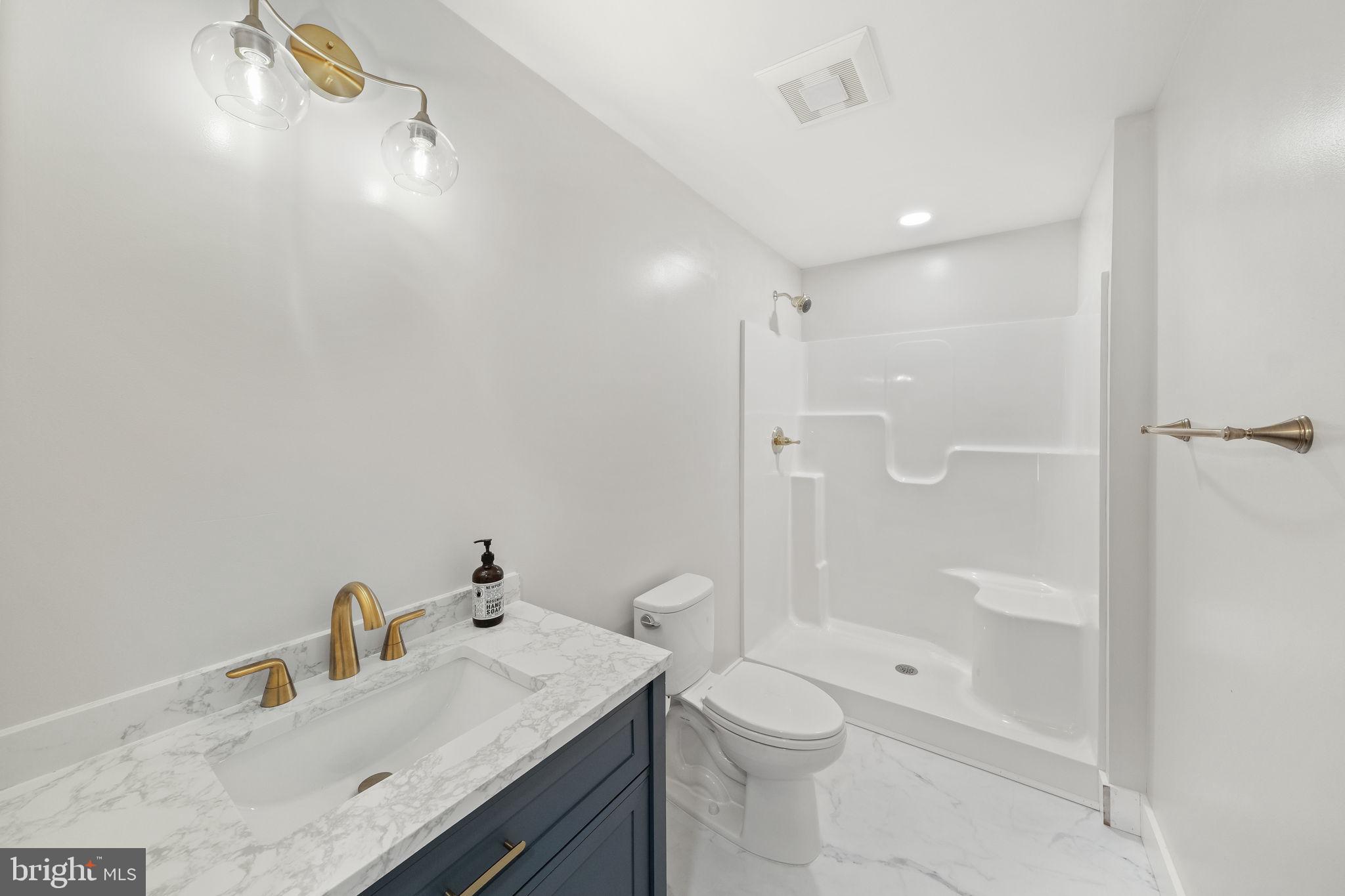 646 Sandy Point Road Heathsville, VA 22473 - Photo 34 of 39 a bathroom with a sink a toilet and shower