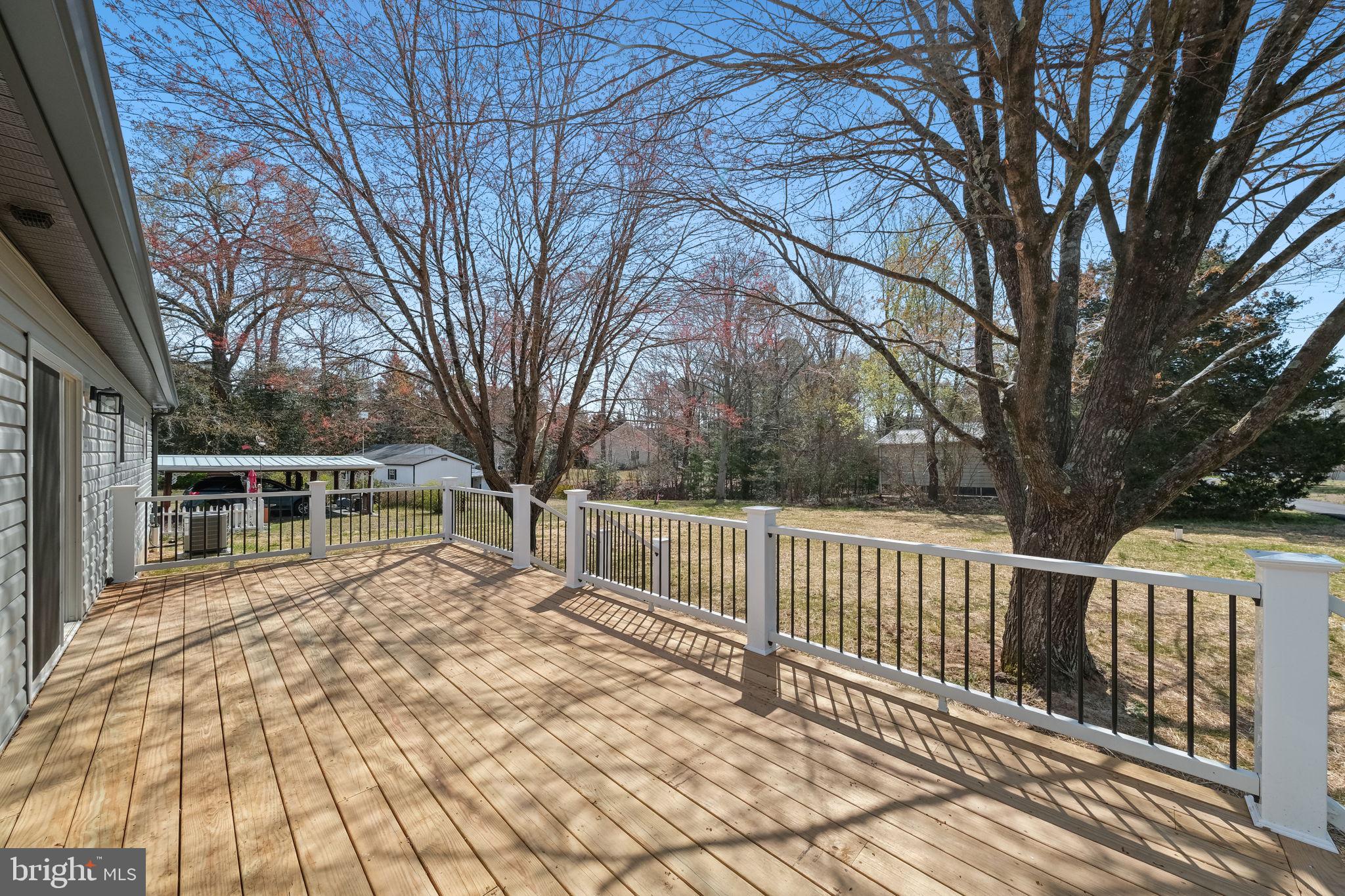 646 Sandy Point Road Heathsville, VA 22473 - Photo 5 of 39 a view of house with backyard and trees