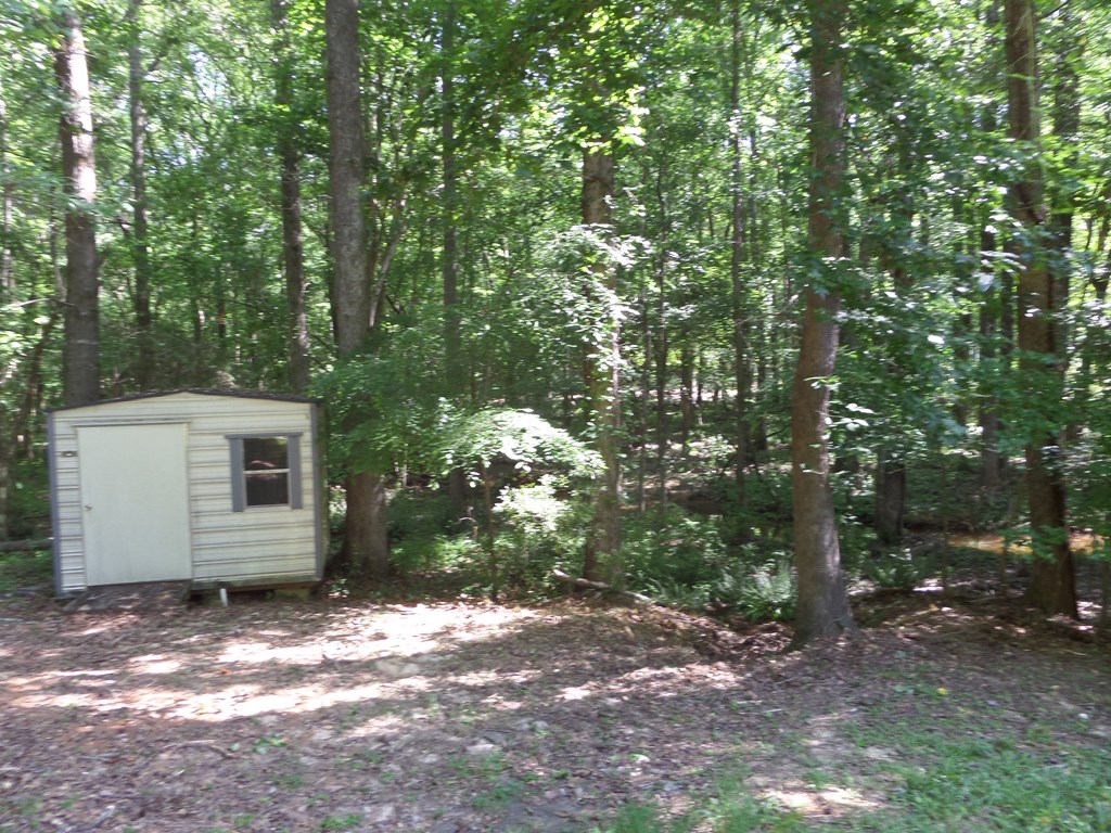 369 Green Ridge Road Cataula, GA 31804 - Photo 34 of 41 Gallery Image 34