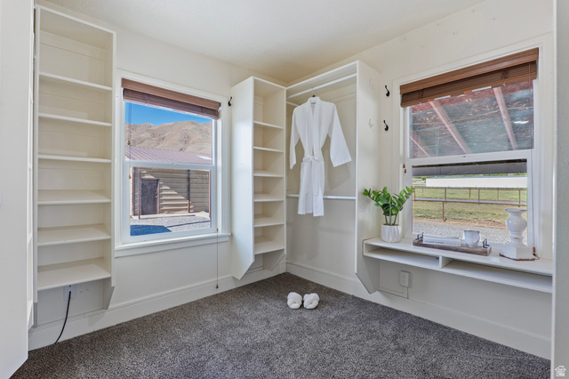 115 East 1600th Street North Santaquin, UT 84655 - Photo 11 of 52 Built-in shelving and hanging storage around two windows with mountain scenery