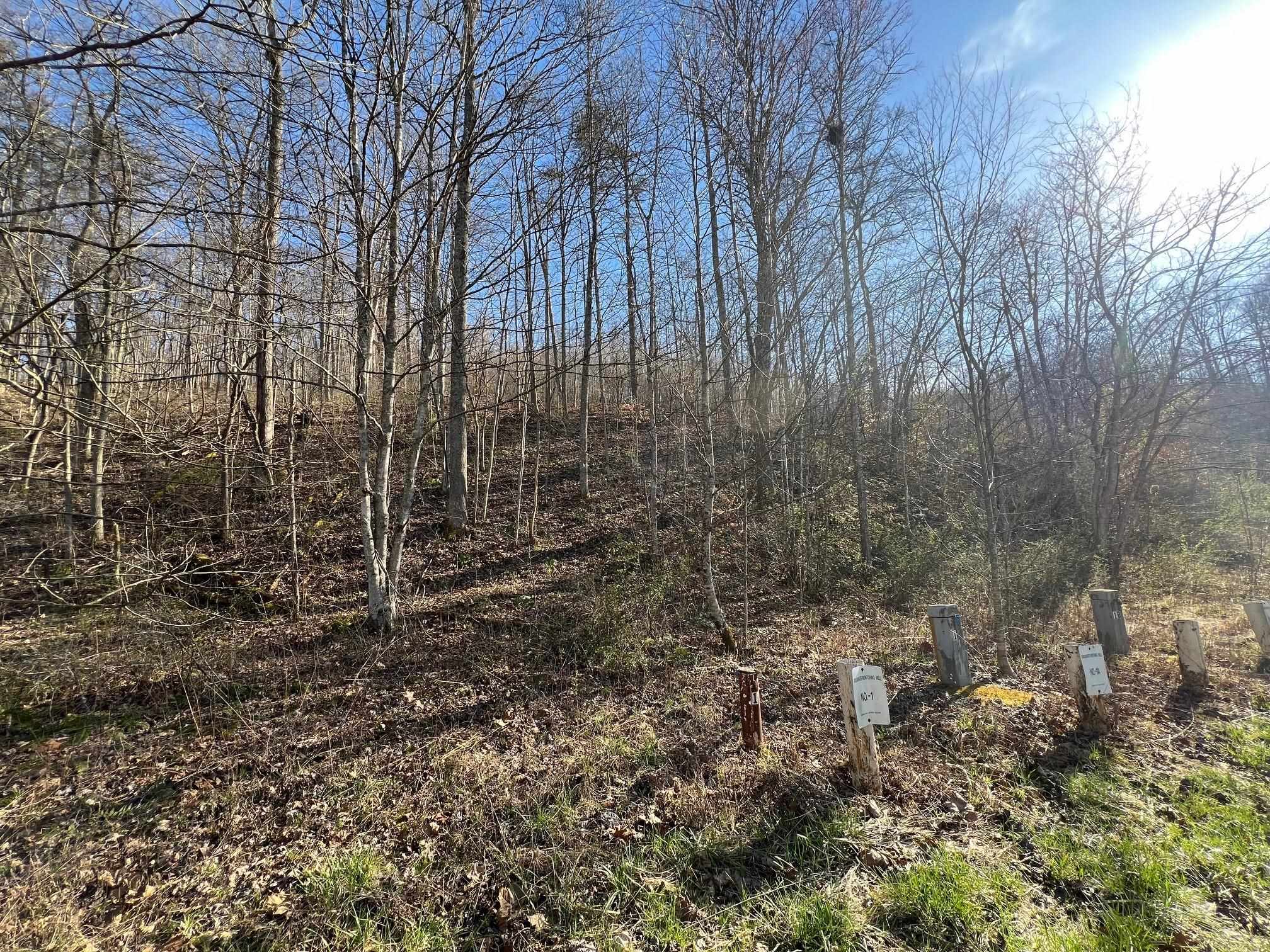 Turkey Lick Road Argillite, KY 41121 - Photo 2 of 16 Gallery Image 2