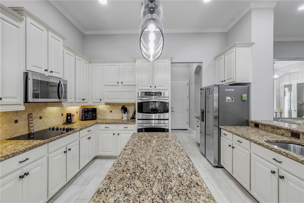 3029 Isola Bella Boulevard Mount Dora, FL 32757 - Photo 24 of 88