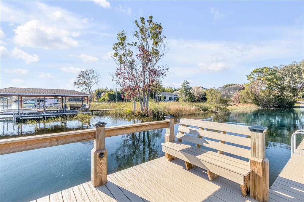 3029 Isola Bella Boulevard Mount Dora, FL 32757 - Photo 87 of 88