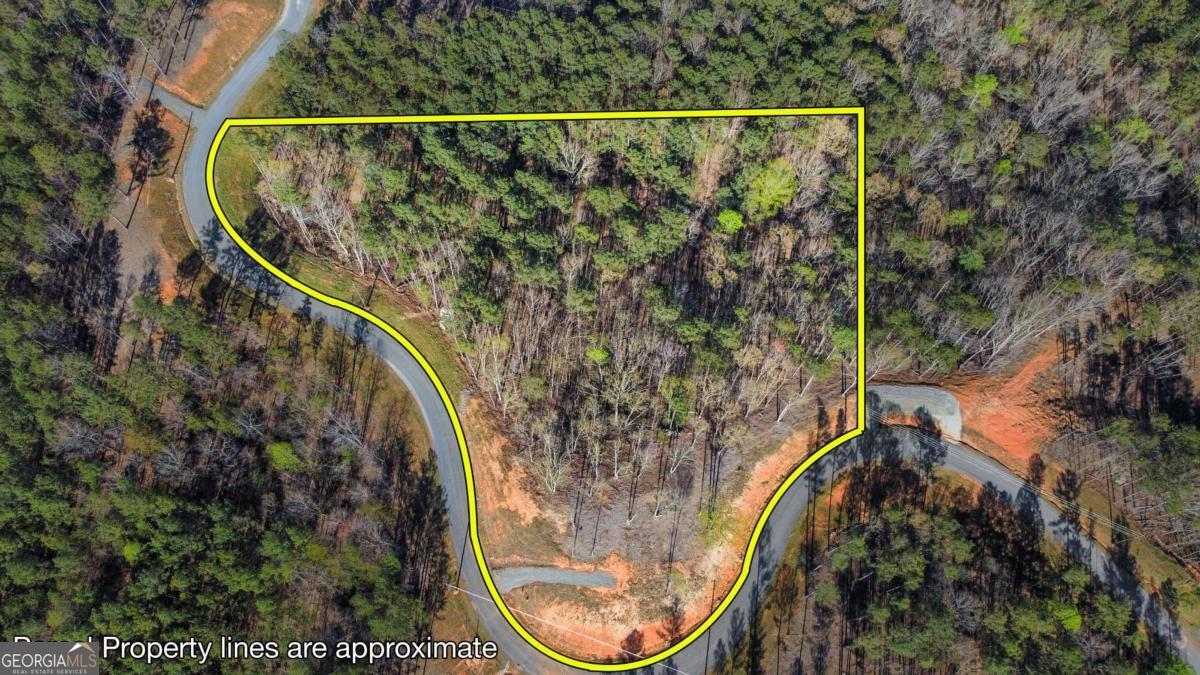Lot 103 Blalock Mountain Road Talking Rock, GA 30175 - Photo 1 of 31