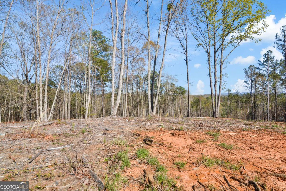 Lot 103 Blalock Mountain Road Talking Rock, GA 30175 - Photo 11 of 31 a view of dirt field with trees