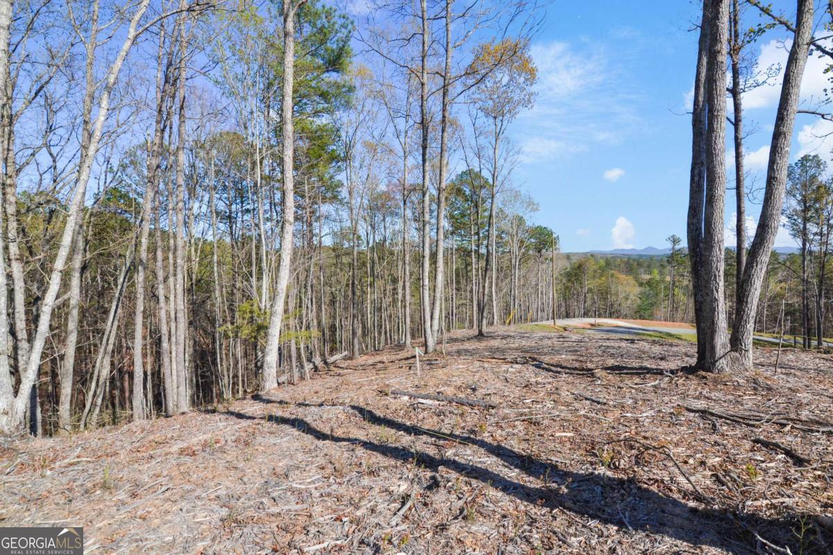 Lot 103 Blalock Mountain Road Talking Rock, GA 30175 - Photo 12 of 31 a view of a backyard of the house