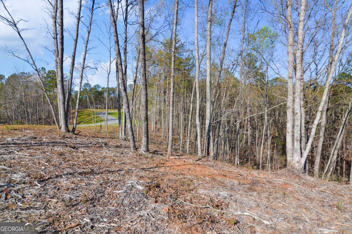 Lot 103 Blalock Mountain Road Talking Rock, GA 30175 - Photo 13 of 31 a backyard of a house with lots of green space