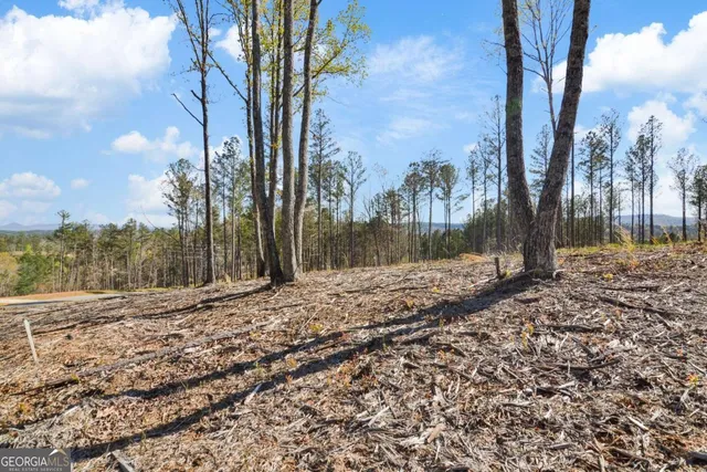 $110,000 | Lot 103 Blalock Mountain Road, Talking Rock, GA 30175