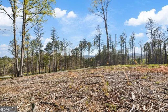 $110,000 | Lot 103 Blalock Mountain Road, Talking Rock, GA 30175