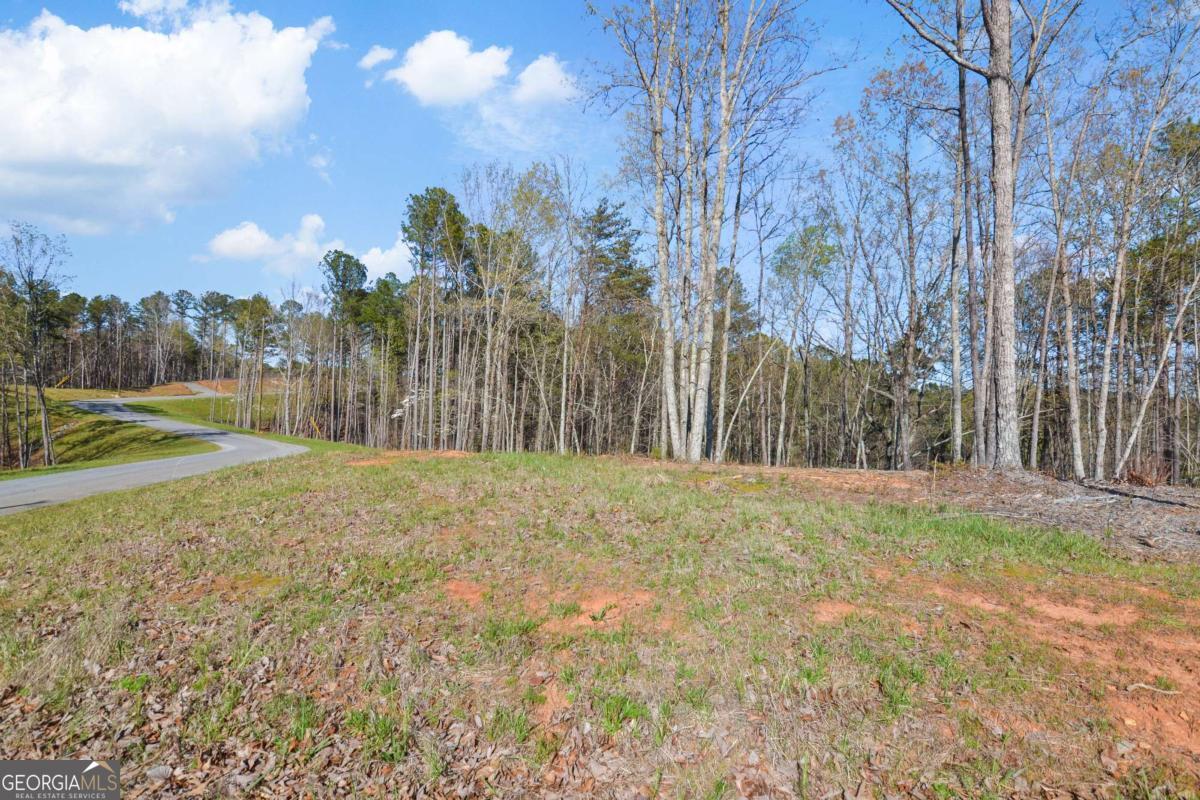 Lot 103 Blalock Mountain Road Talking Rock, GA 30175 - Photo 16 of 31 a backyard of a house with lots of green space