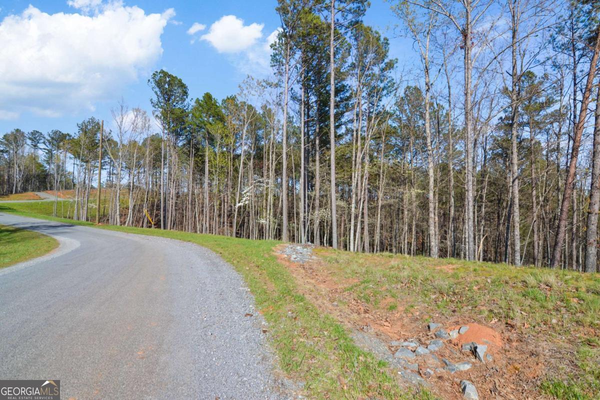 Lot 103 Blalock Mountain Road Talking Rock, GA 30175 - Photo 17 of 31 a view of outdoor space with garden