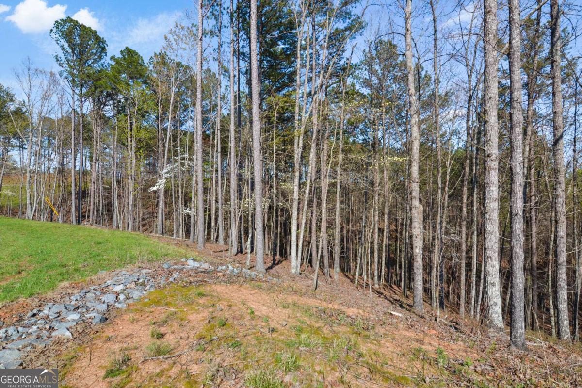 Lot 103 Blalock Mountain Road Talking Rock, GA 30175 - Photo 18 of 31 a view of a backyard of the house