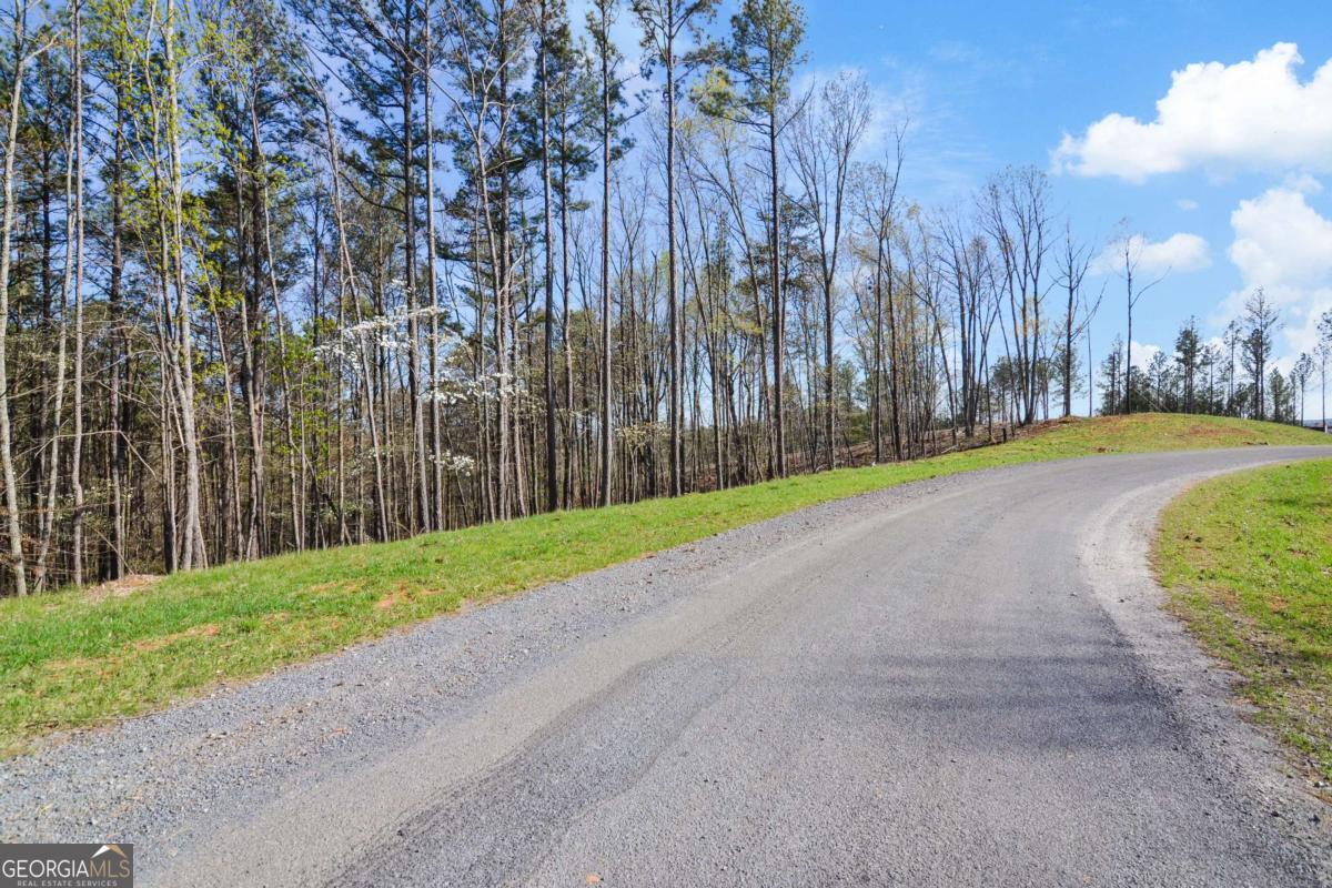 Lot 103 Blalock Mountain Road Talking Rock, GA 30175 - Photo 19 of 31 a view of a basketball court