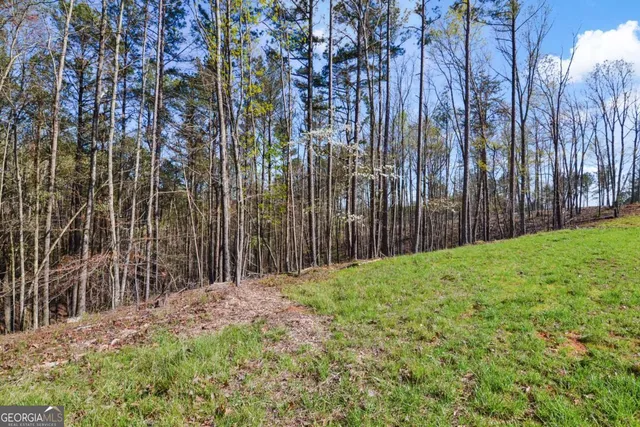 $110,000 | Lot 103 Blalock Mountain Road, Talking Rock, GA 30175