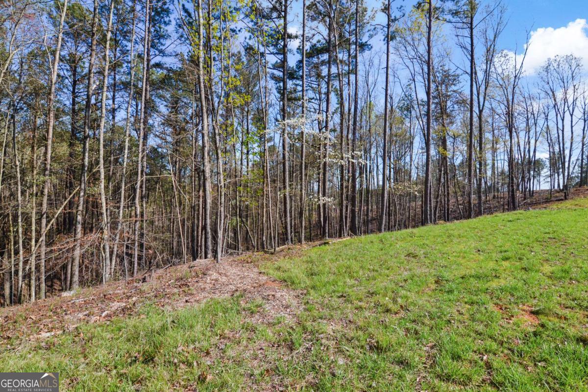 Lot 103 Blalock Mountain Road Talking Rock, GA 30175 - Photo 20 of 31 a view of backyard with trampoline