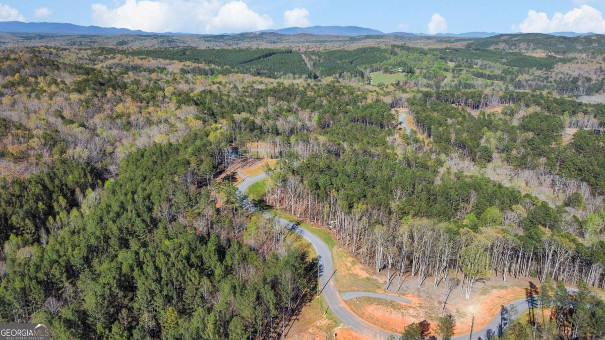 Lot 103 Blalock Mountain Road Talking Rock, GA 30175 - Photo 2 of 31 a view of a lush green forest with trees and some houses