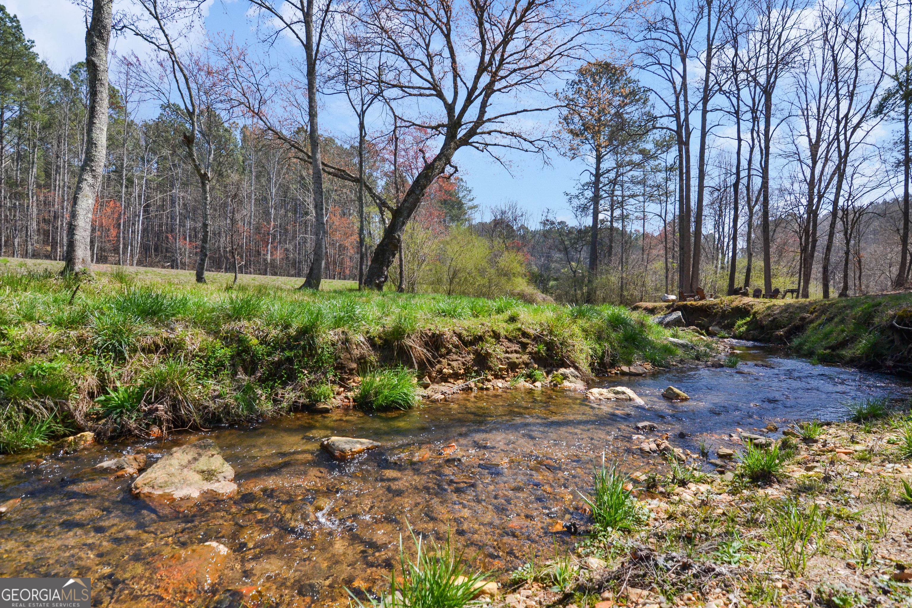 Lot 103 Blalock Mountain Road Talking Rock, GA 30175 - Photo 27 of 31 a view of a yard covered with trees
