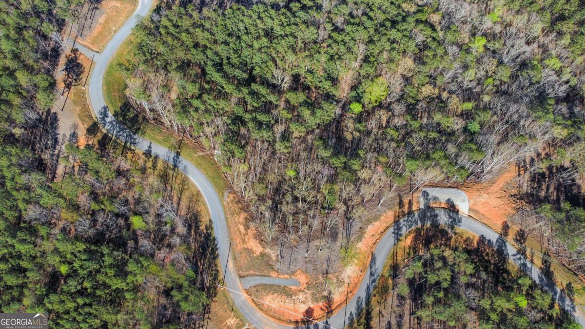 Lot 103 Blalock Mountain Road Talking Rock, GA 30175 - Photo 3 of 31 a view of a city with lush green forest